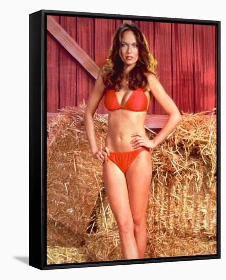Catherine Bach - The Dukes of Hazzard-null-Framed Stretched Canvas