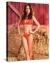 Catherine Bach - The Dukes of Hazzard-null-Stretched Canvas