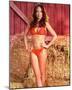 Catherine Bach - The Dukes of Hazzard-null-Mounted Photo