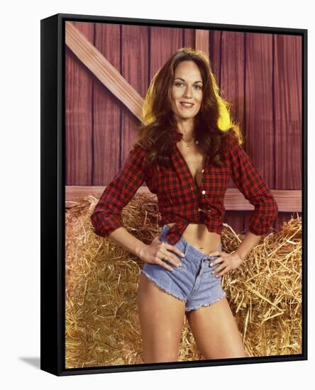 Catherine Bach - The Dukes of Hazzard-null-Framed Stretched Canvas