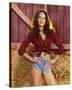 Catherine Bach - The Dukes of Hazzard-null-Stretched Canvas