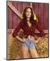 Catherine Bach - The Dukes of Hazzard-null-Mounted Photo