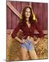 Catherine Bach - The Dukes of Hazzard-null-Mounted Photo