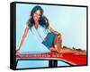 Catherine Bach - The Dukes of Hazzard-null-Framed Stretched Canvas