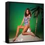 Catherine Bach-null-Framed Stretched Canvas