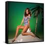 Catherine Bach-null-Framed Stretched Canvas