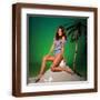 Brown Frame