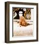 Catherine Deneuve - Hustle-null-Framed Photo