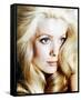 Catherine Deneuve-null-Framed Stretched Canvas