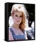 Catherine Deneuve-null-Framed Stretched Canvas