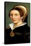 Catherine Howard-null-Framed Stretched Canvas