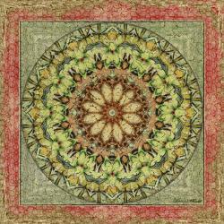 Affordable Mandala Posters For At Allposters Floress Mandala Iii By Catherine Kohnke