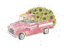 Flower Truck III-Catherine McGuire-Stretched Canvas