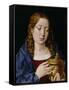 Catherine of Aragon as the Magdalene (Oil on Oak Panel)-Michiel Sittow-Framed Stretched Canvas