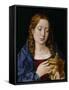 Catherine of Aragon as the Magdalene (Oil on Oak Panel)-Michiel Sittow-Framed Stretched Canvas