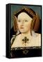 Catherine of Aragon-null-Framed Stretched Canvas