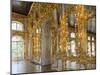 Catherine Palace, Pushkin-Tsarskoye Selo, Saint Petersburg, Russia-Walter Bibikow-Mounted Premium Photographic Print