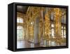 Catherine Palace, Pushkin-Tsarskoye Selo, Saint Petersburg, Russia-Walter Bibikow-Framed Stretched Canvas