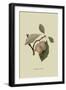 Catherine Plum-William Hooker-Framed Art Print