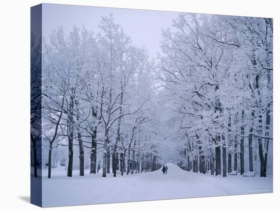 Catherine's Park in February, Tsarske Seloe (Puskin), St. Petersburg, Russia-Anthony Waltham-Stretched Canvas