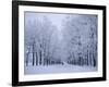 Catherine's Park in February, Tsarske Seloe (Puskin), St. Petersburg, Russia-Anthony Waltham-Framed Photographic Print