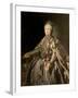 Catherine the Great, 1793-Johann Baptist Lampi-Framed Giclee Print