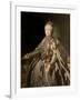Catherine the Great, 1793-Johann Baptist Lampi-Framed Giclee Print
