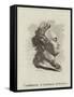 Catherine the Great-null-Framed Stretched Canvas