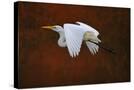 Stretched Canvas