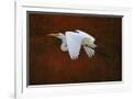 Gramercy White