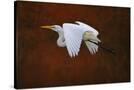 Stretched Canvas
