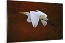 Stretched Canvas