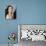 Catherine Zeta-Jones-null-Photo displayed on a wall