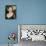 Catherine Zeta-Jones-null-Photo displayed on a wall