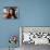 Catherine Zeta-Jones-null-Mounted Photo displayed on a wall