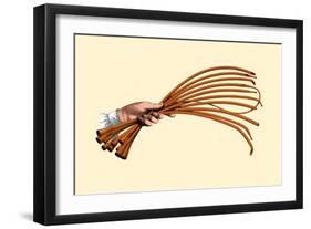 Catheters-Jules Porges-Framed Art Print