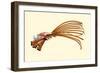 Catheters-Jules Porges-Framed Premium Giclee Print