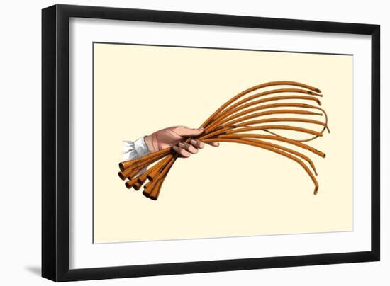 Catheters-Jules Porges-Framed Premium Giclee Print