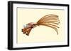 Catheters-Jules Porges-Framed Premium Giclee Print