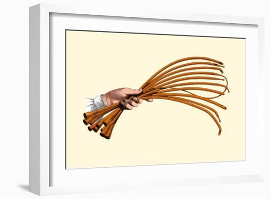 Catheters-Jules Porges-Framed Premium Giclee Print