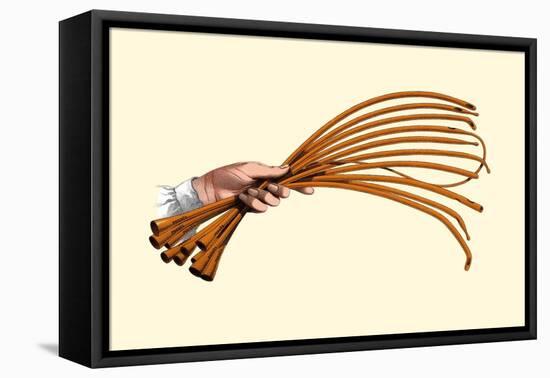 Catheters-Jules Porges-Framed Stretched Canvas