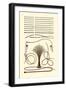 Catheters-Jules Porges-Framed Art Print