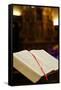 Catholic Bible, Monaco, Europe-Godong-Framed Stretched Canvas
