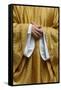 Catholic Priest, Paris, France, Europe-Godong-Framed Stretched Canvas