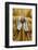 Catholic Priest, Paris, France, Europe-Godong-Framed Photographic Print