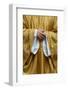 Catholic Priest, Paris, France, Europe-Godong-Framed Photographic Print