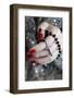 Catholic woman praying rosary beads and crucifix-Godong-Framed Photographic Print