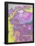 Essential Black