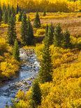 Gunnison National Forest, Colorado, USA-Cathy & Gordon Illg-Photographic Print