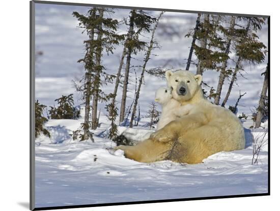 Photographic Print, , large